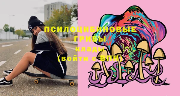 герыч Алексин